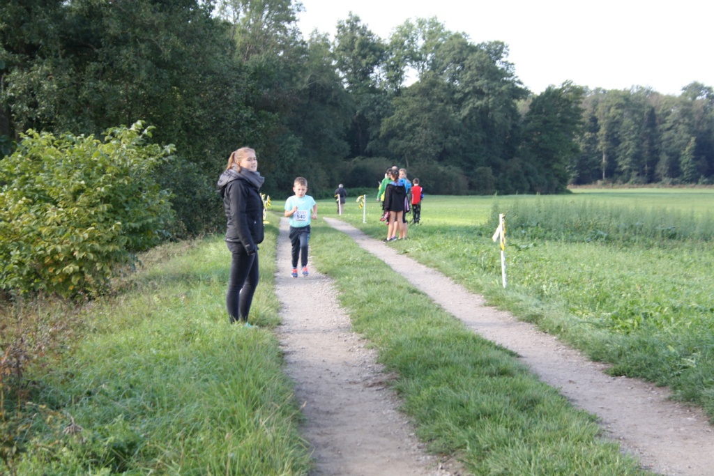 Bild 1 (56)